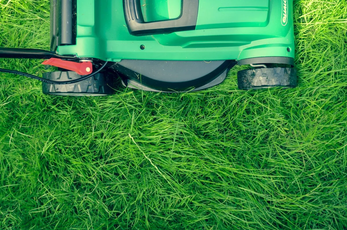 A lawn mower on a grass