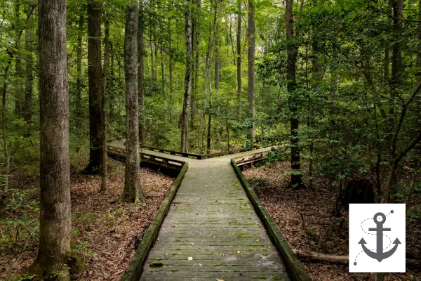 A path that splits into two directions