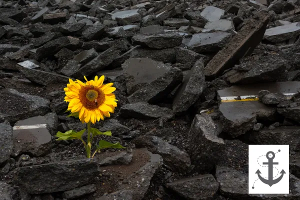 Single yellow flower growing through rubble