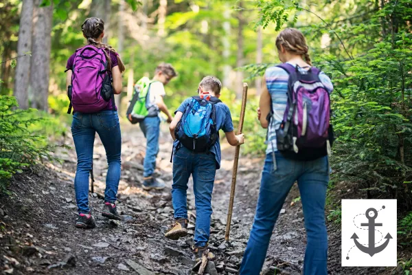 Four people hiking in the forest