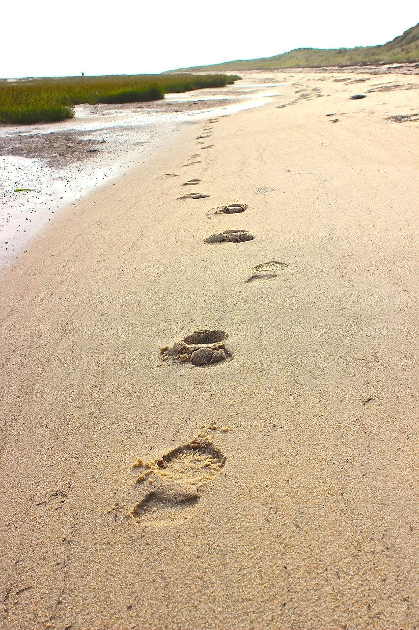 footprints in the sand