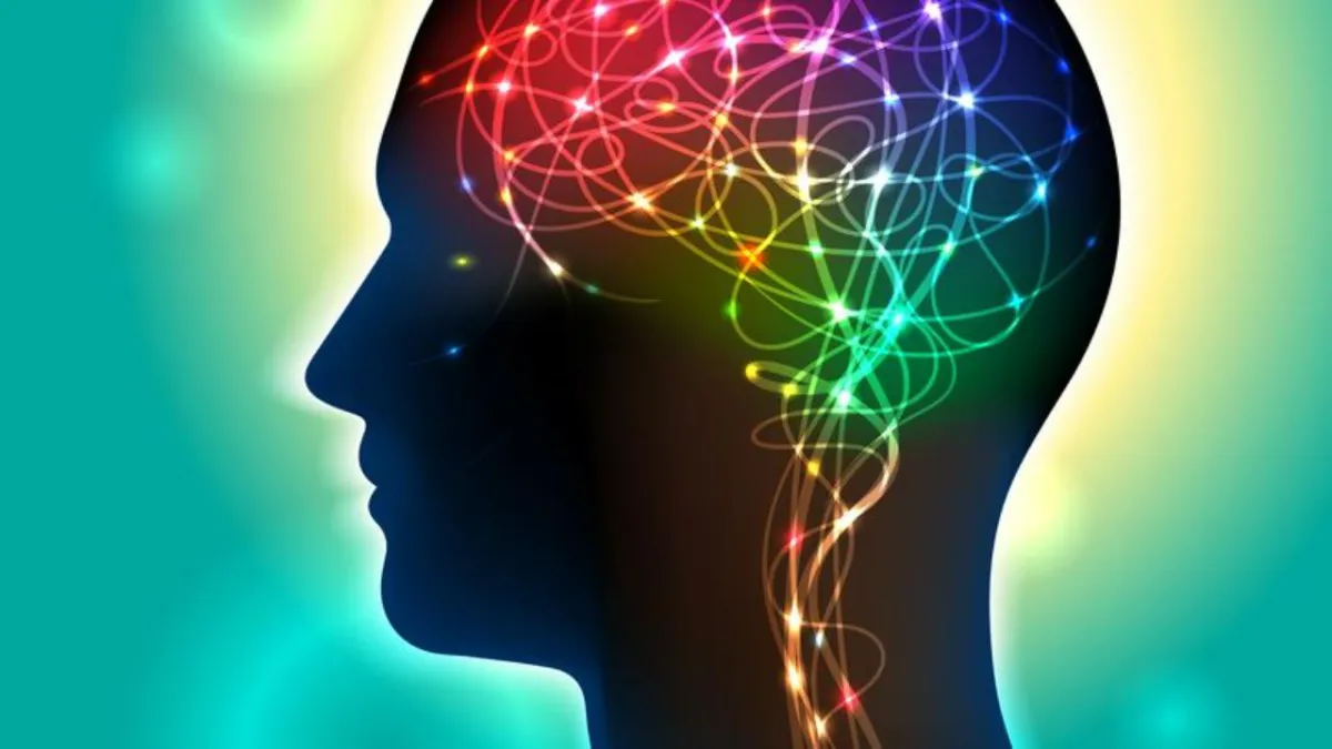 Studies Link Obesity to Smaller Brains