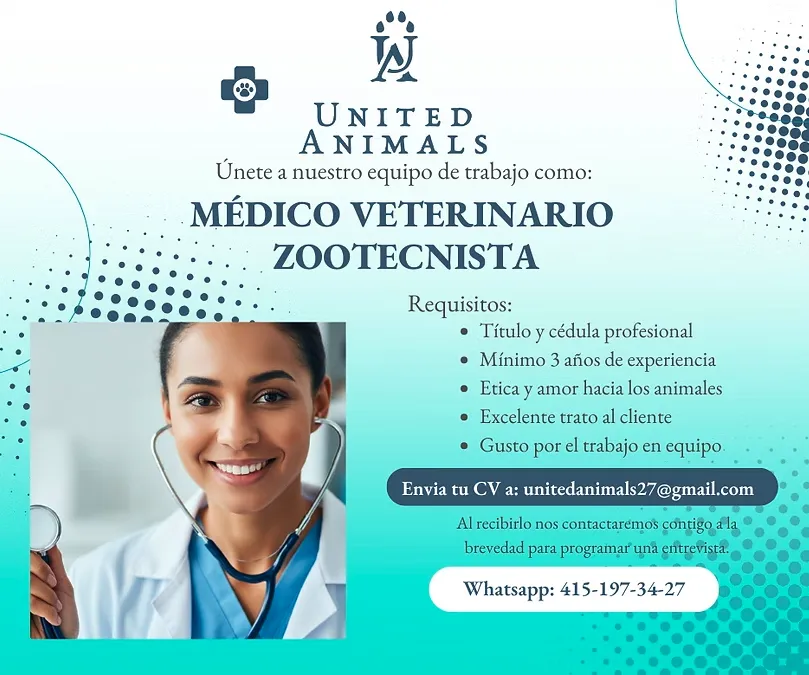 ¡Únete a un Proyecto en Crecimiento en San Miguel de Allende!