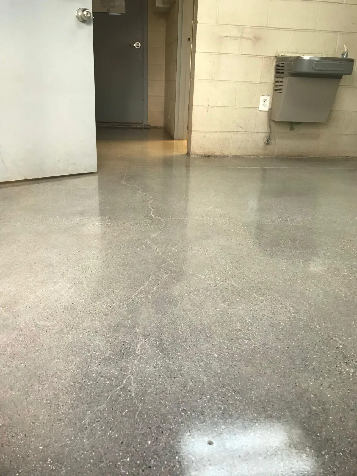 Exterior Polished Concrete Driveway