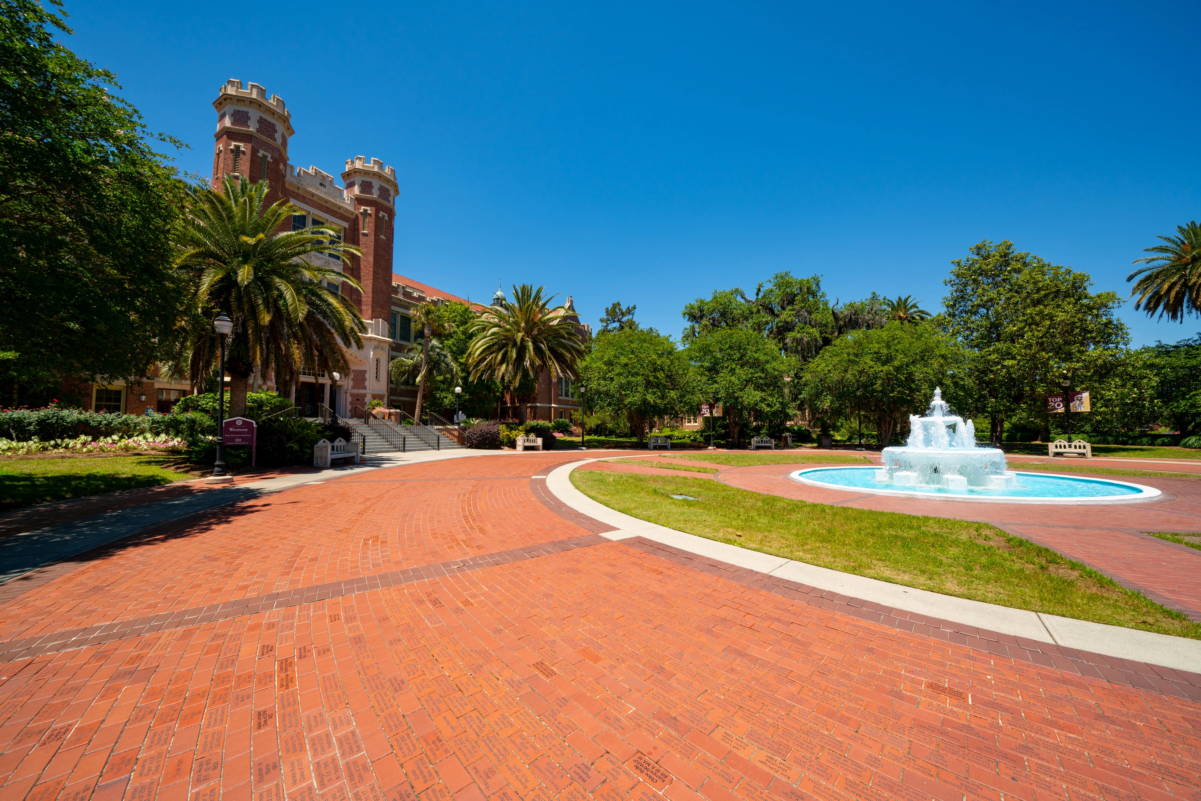 Why Long-Term Car Rentals Save You Money Compared to Leasing or Buying | Purpose Avenue Rental Cars, Tallahassee FL 