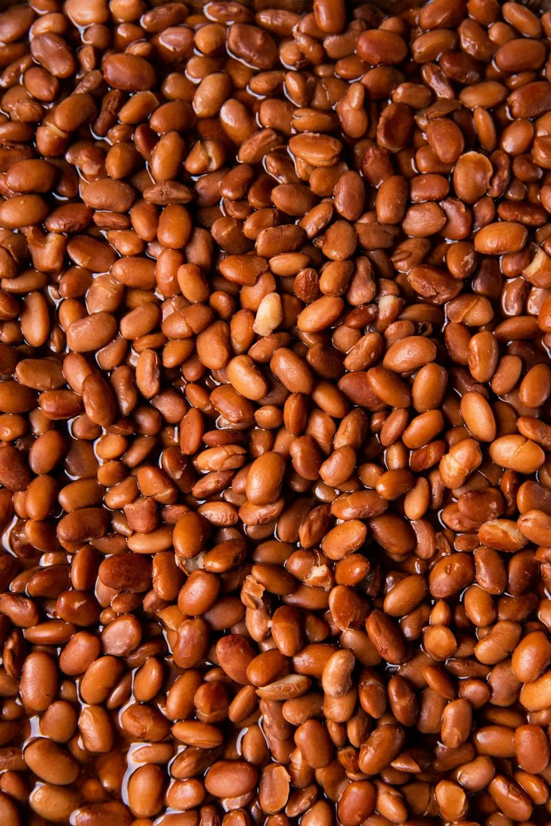 soy beans