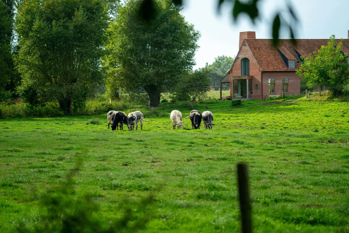 What Happens to Your Land When You Sign a Solar Lease?