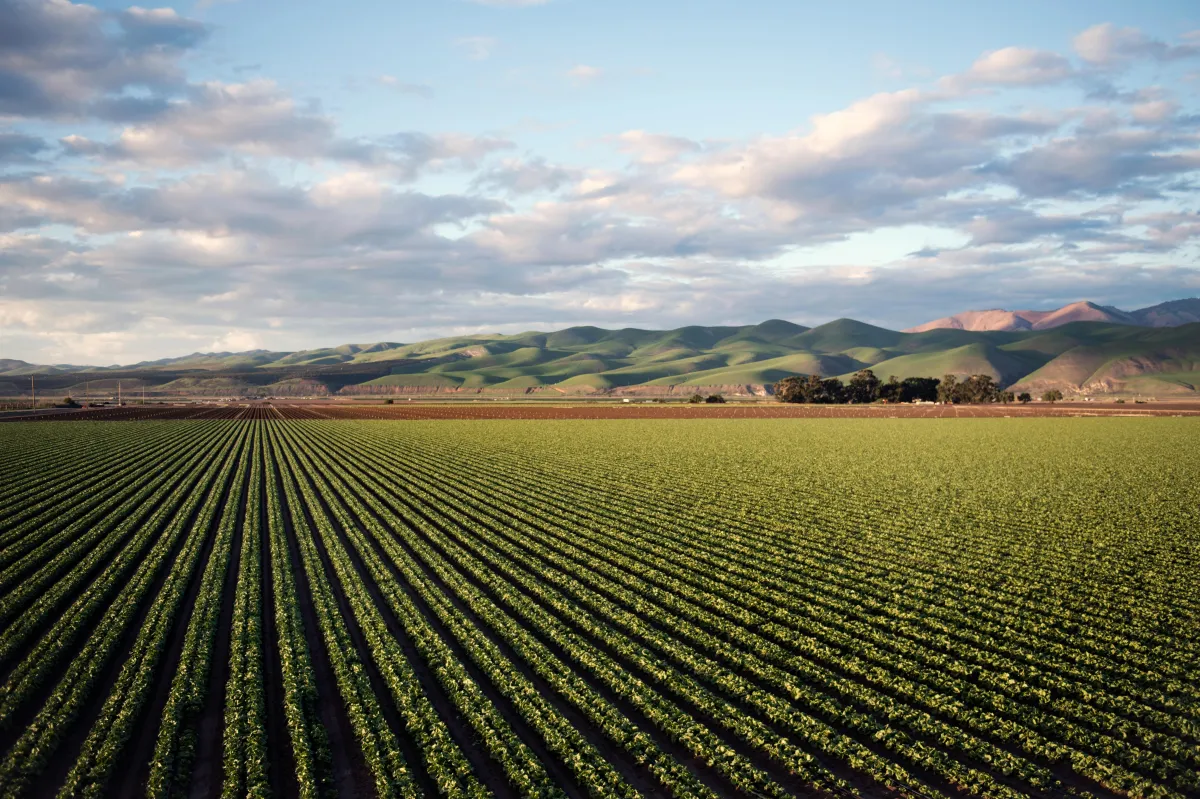 farm