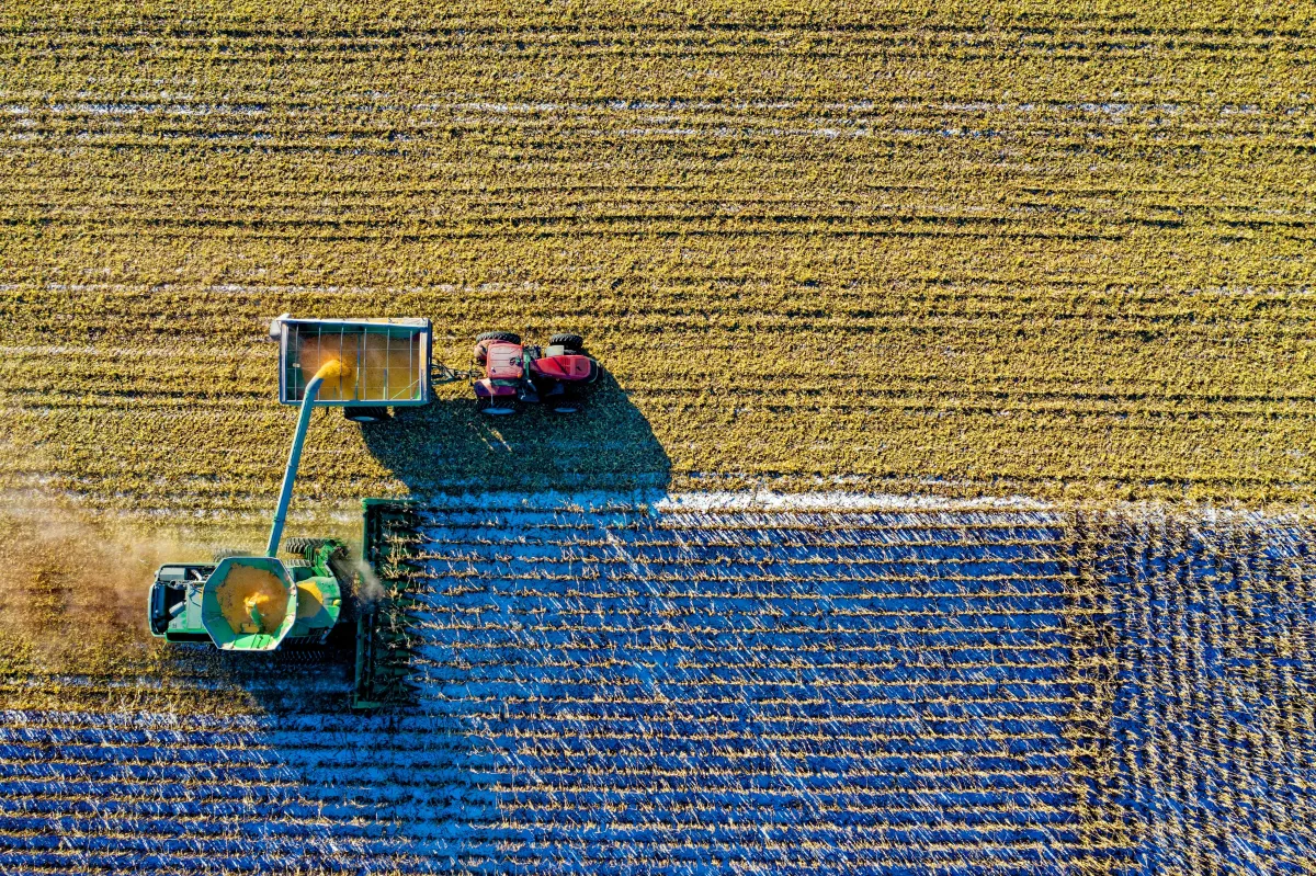 What Makes a Site Ideal for Utility-Scale Solar?