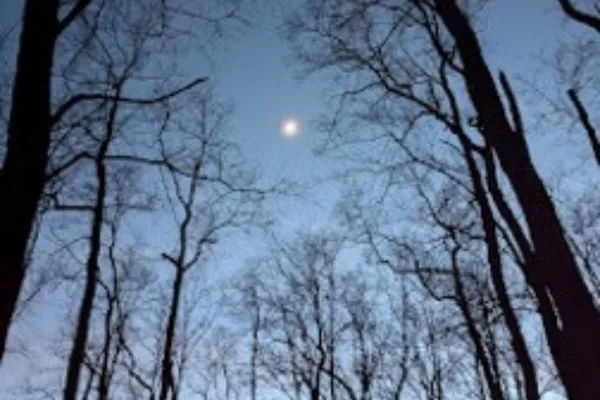 Night sky