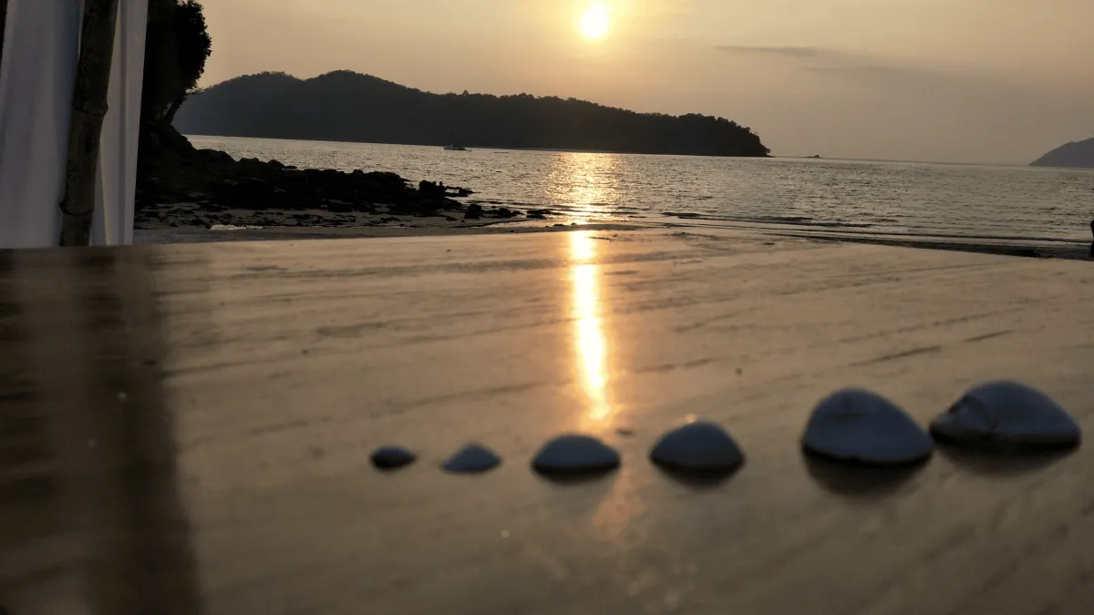 Looking out to the ocean shore and beyond to the horizon during sunset. In the foreground shells lined up by size, a very calm ocean. Soft pinks and oranges. Creating a sense of peace and self-reflection