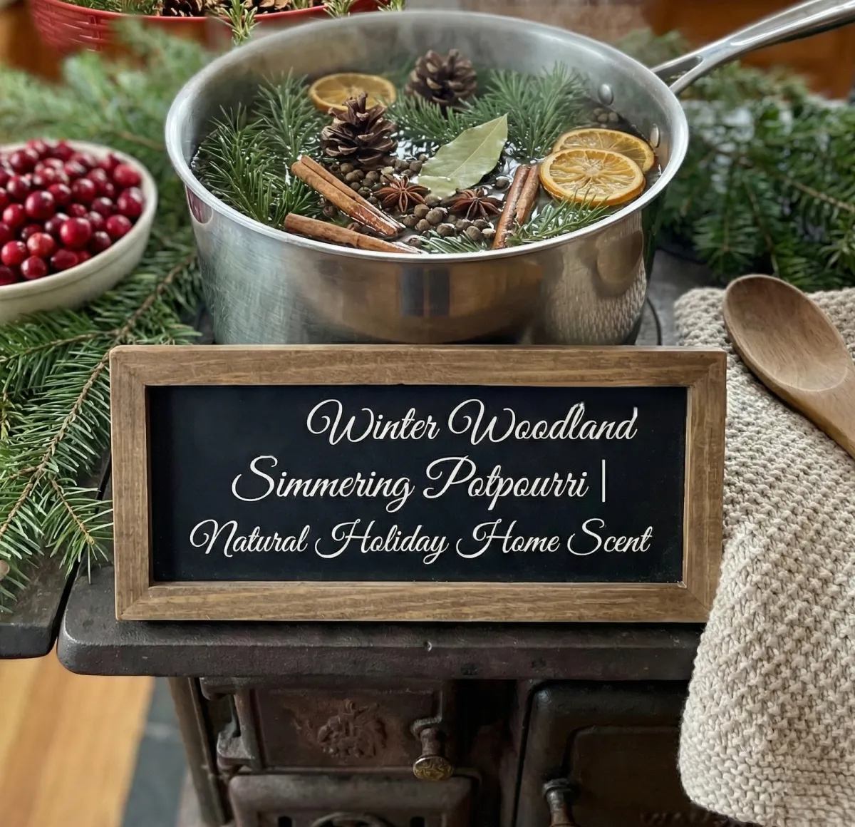 DIY Winter Woodland Simmering Potpourri | Natural Holiday Home Scent