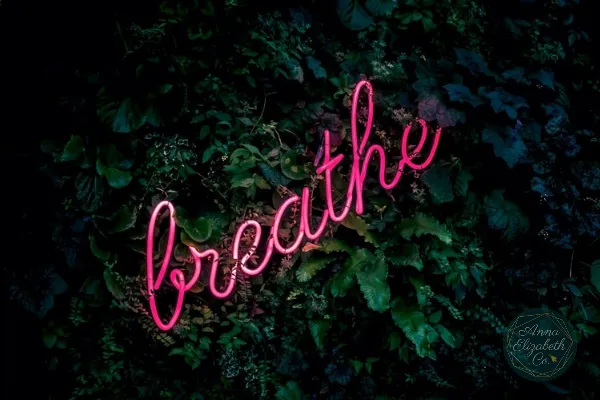 Breathwork & Self-Love for Business Growth | Anna Elizabeth Co