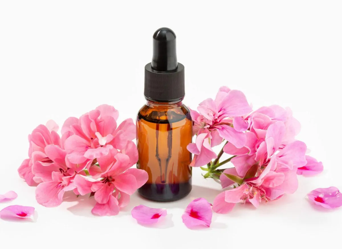 geranium essential oil