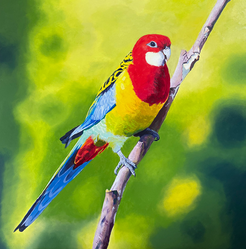 A brightly colored parrot with red, yellow, blue, and green feathers perches on a branch against a blurred green background.