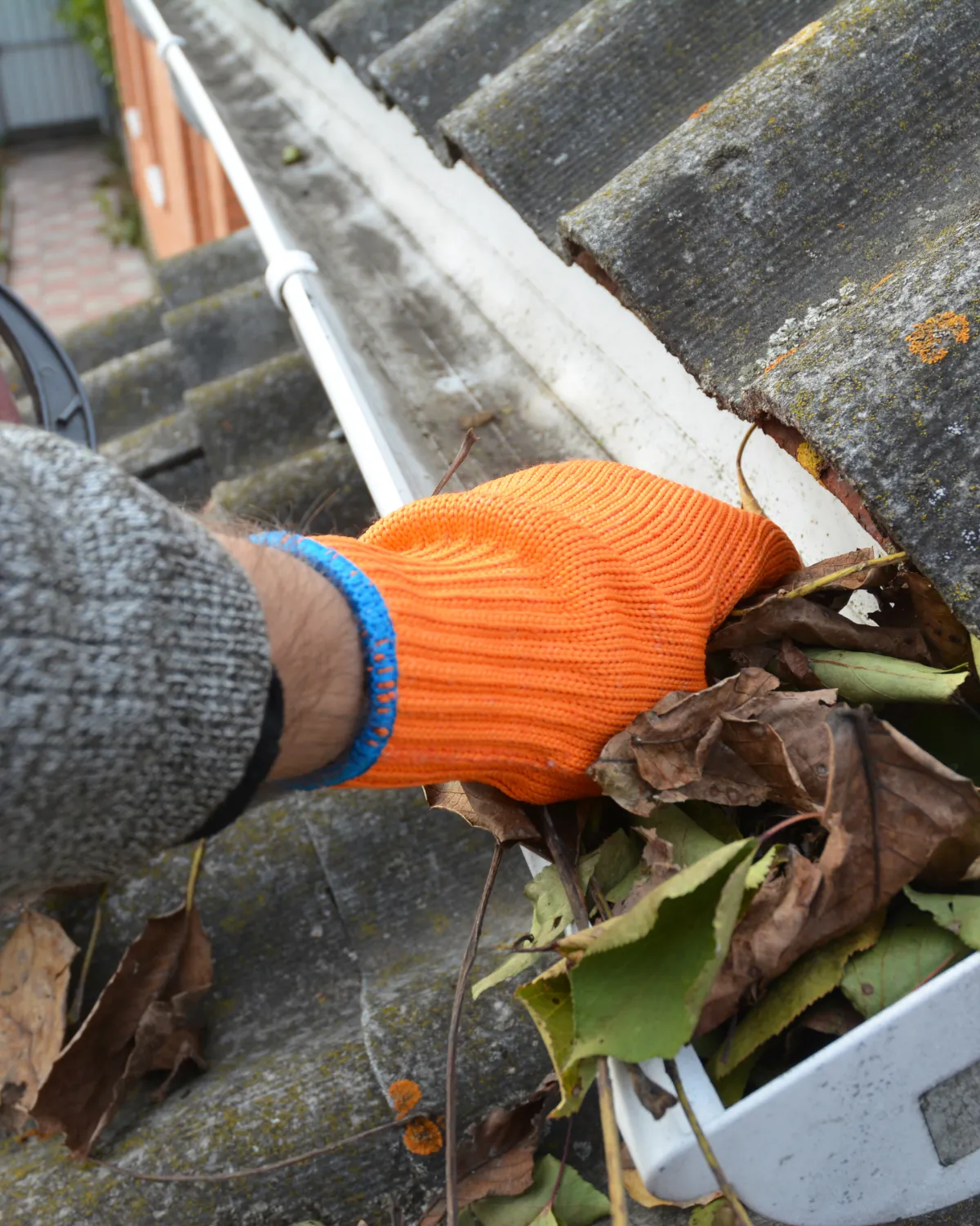 Professional gutter cleaning removing leaves from residential gutters in Georgia