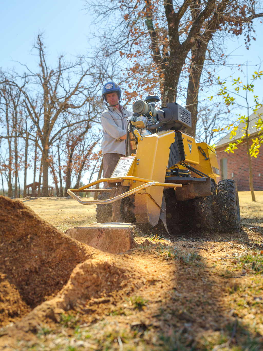 Professional-Stump-Removal-Service