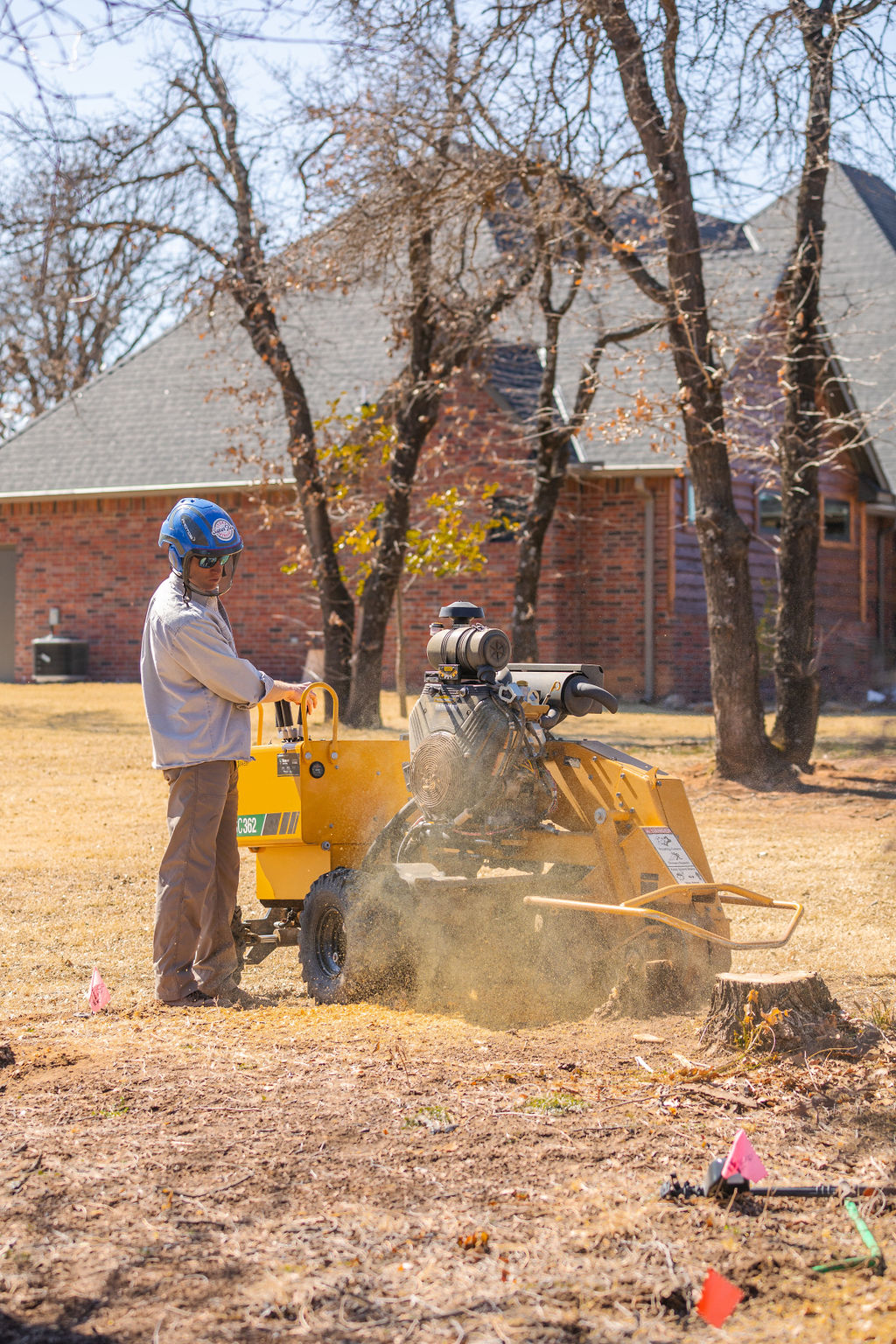 Tree-Stump-Grinding-Service-Yard