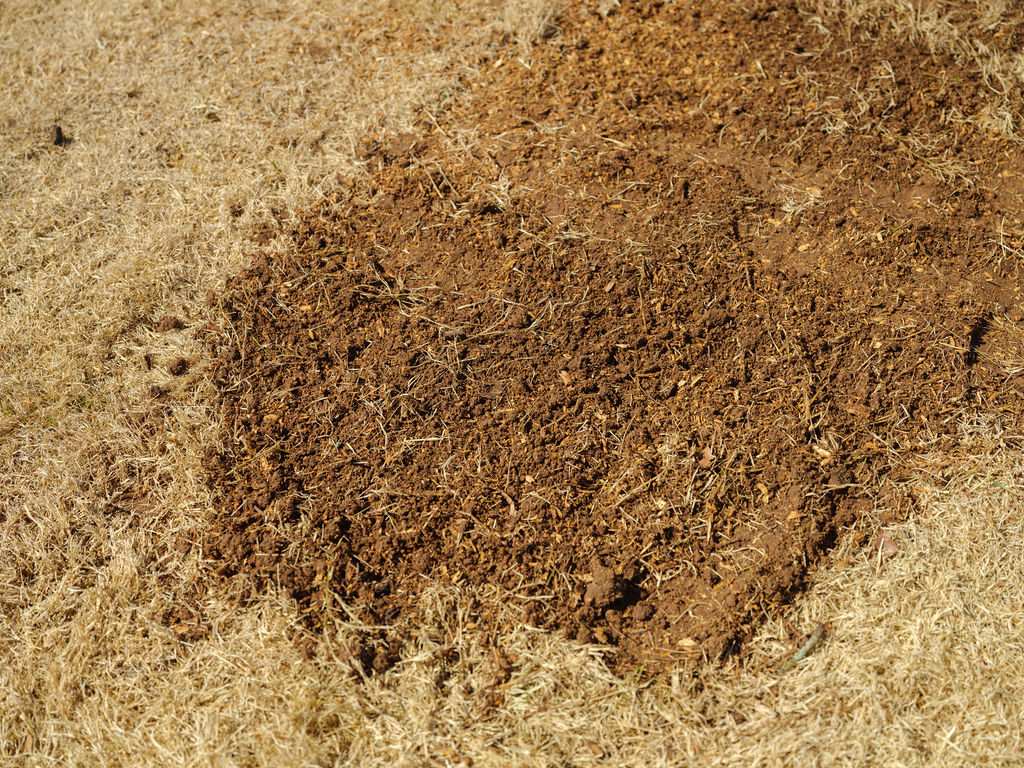 Freshly-Leveled-Stump-Grinding-Area