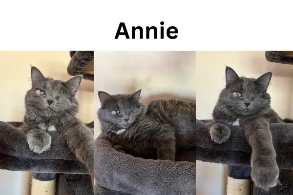 Little Orphan Annie