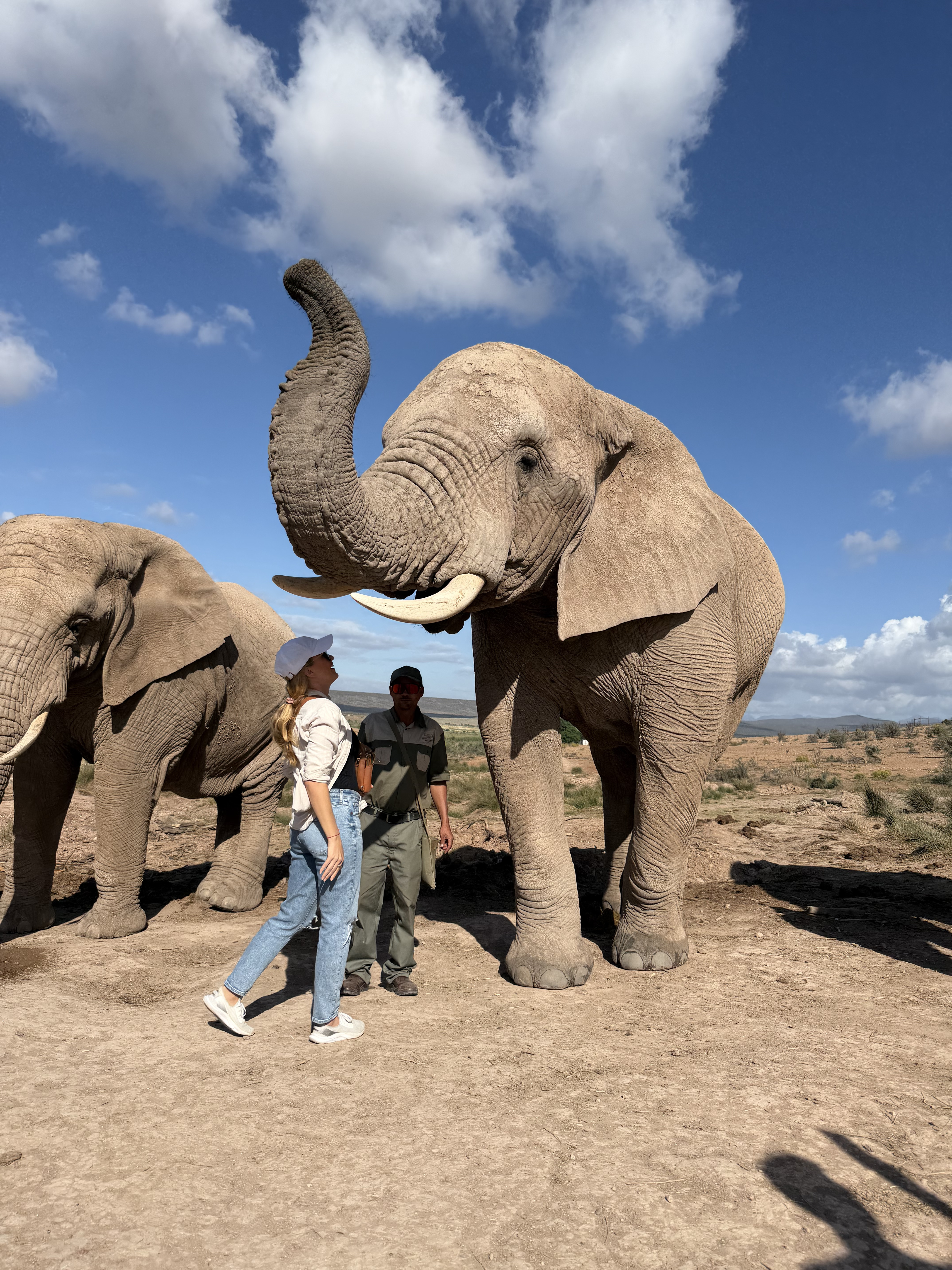 Episode 302: My South African Adventure: Spider Attacks, Poisonous Snakes, and Safaris