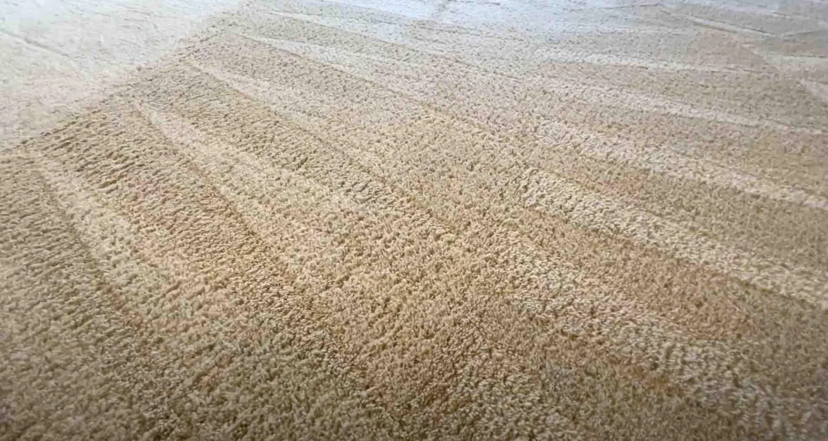 How Often Should You Clean Your Carpets in Maui?