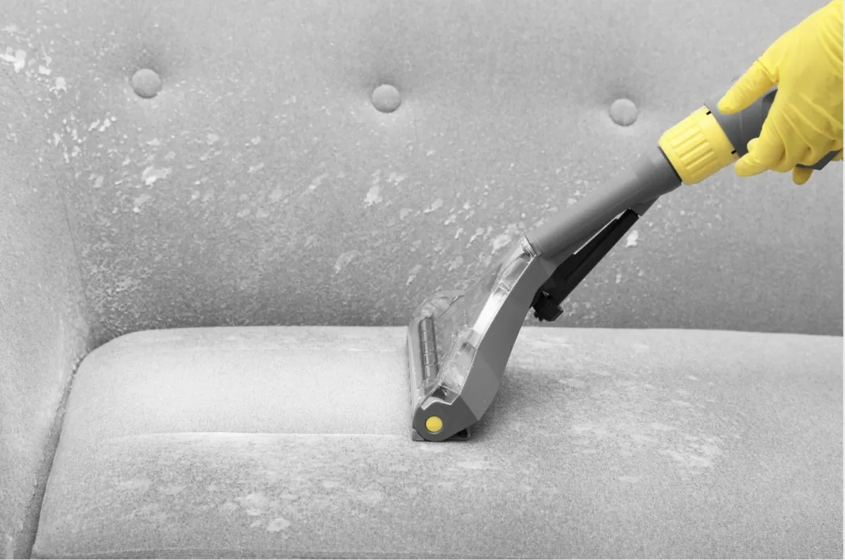 Professional upholstery cleaner using a steam extraction tool to remove dirt and stains from a light gray fabric sofa.