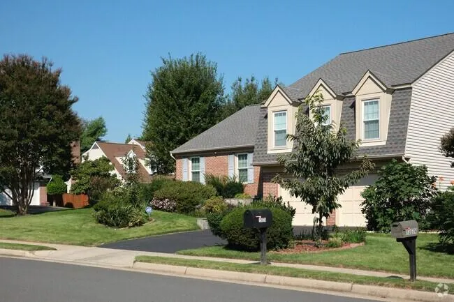 Poplar Tree, Chantilly, VA