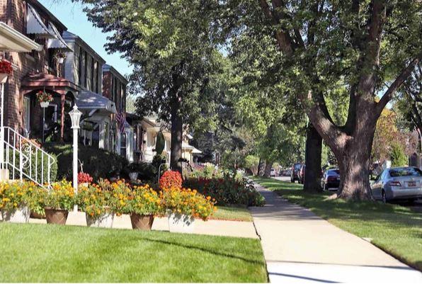 Irving Woods, Chicago, IL