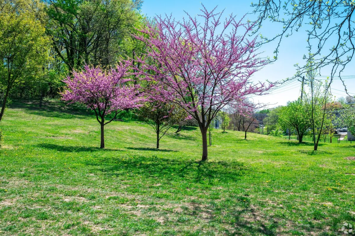 Marshall Heights, Washington, DC