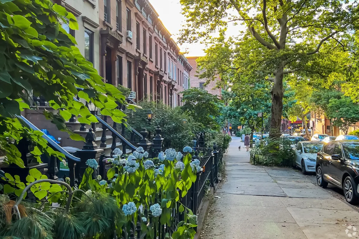 Park Slope