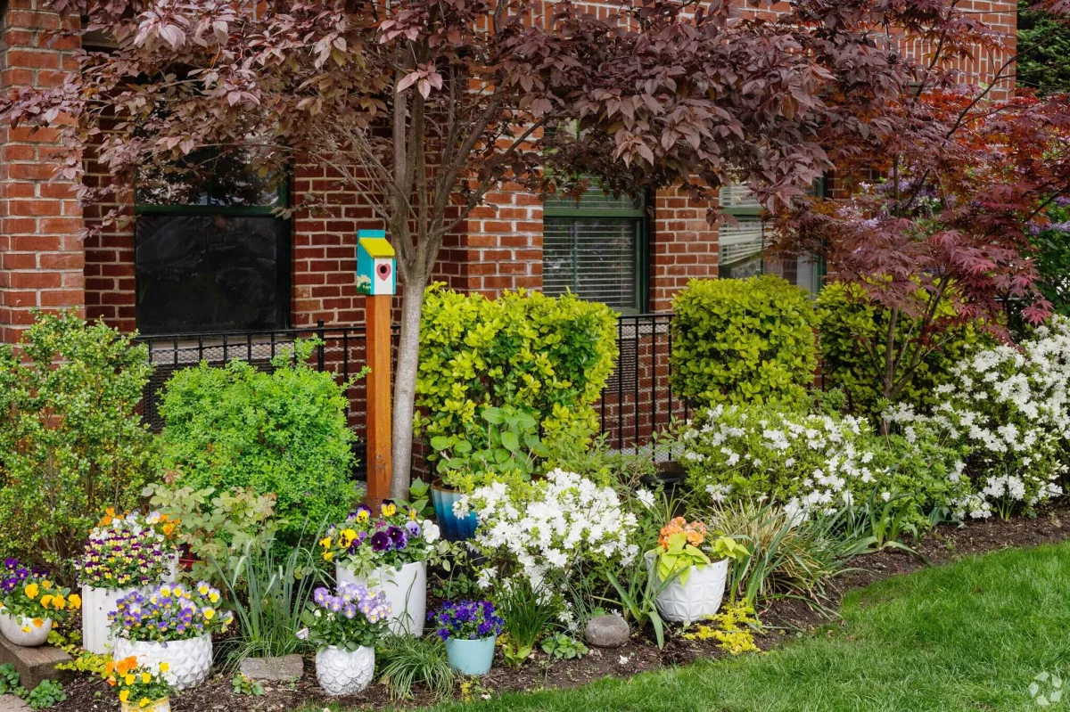 Windsor Terrace