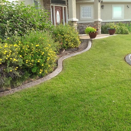 Nice landscaped yard