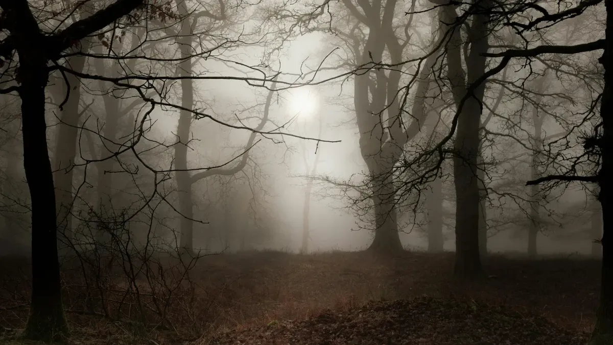 When the Noise Fades, the Truth Remains (Weekly Recovery Reflection)