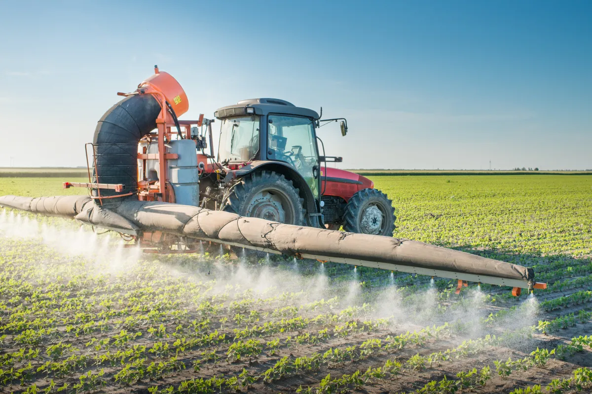 The Dangers of Atrazine