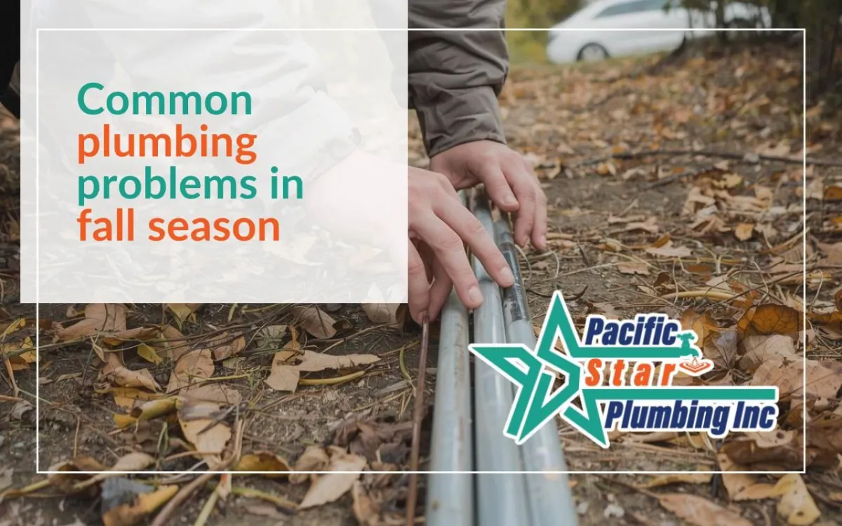 Licensed plumber performing fall maintenance inspection to prepare home plumbing for winter.