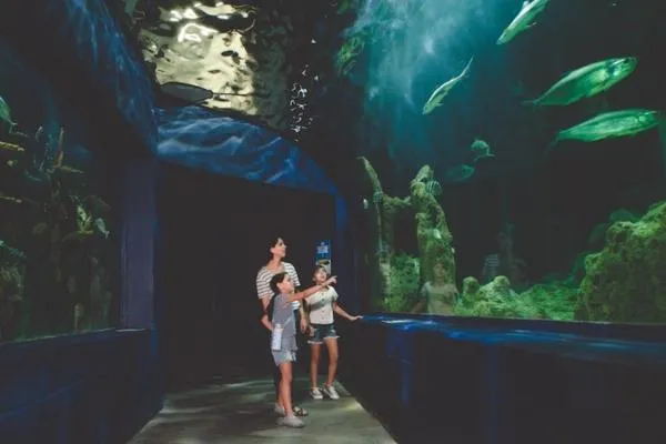 5 Amazing Educational Attractions for Young Learners in SW Atlanta