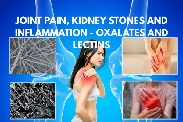 Oxalates & Lectins: Hidden Plant Toxins Causing Pain, Kidney Stones, Inflammation