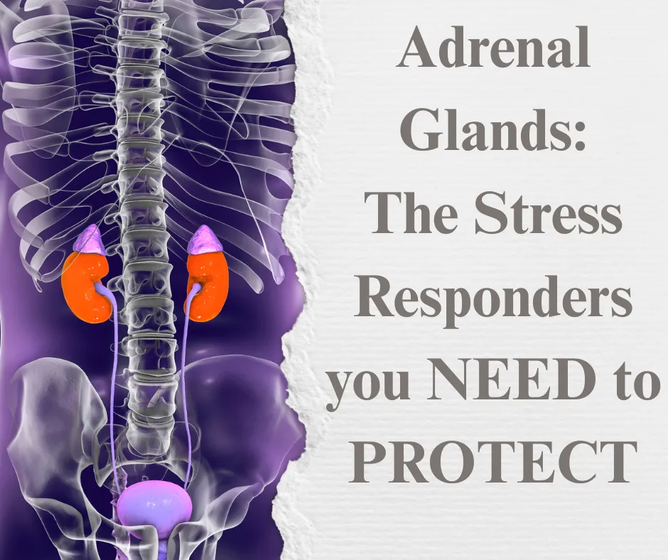 Adrenal Glands