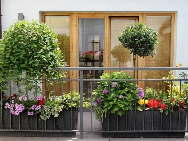 Lush balcony garden with a variety of plants and flowers providing a natural privacy barrier, creating a private urban oasis.