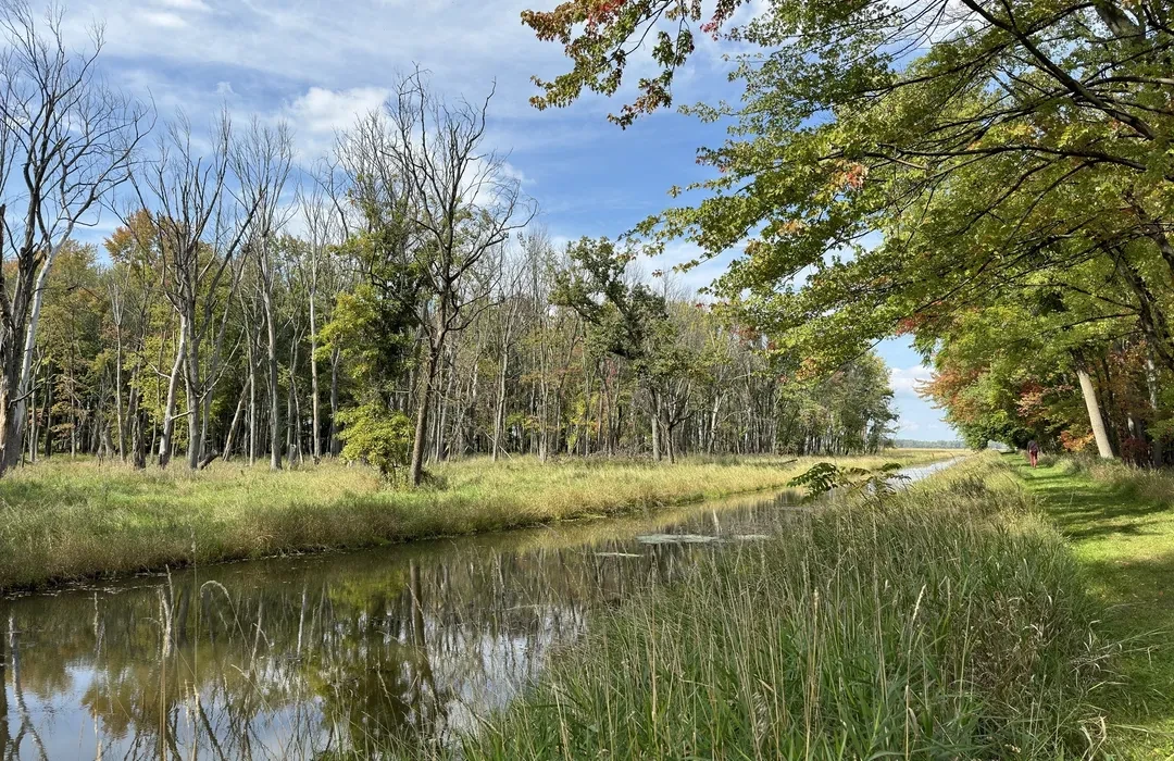 Michigan’s Wild Side: Why You Gotta Explore Shiawassee National Wildlife Refuge