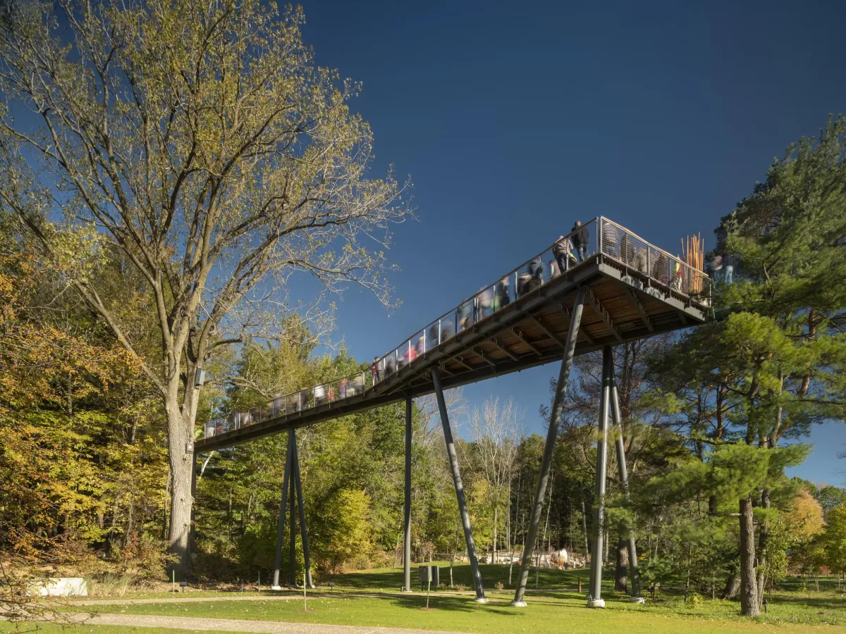 Walk Among the Trees: Discover the Magic of Dow Gardens & Whiting Forest in Midland