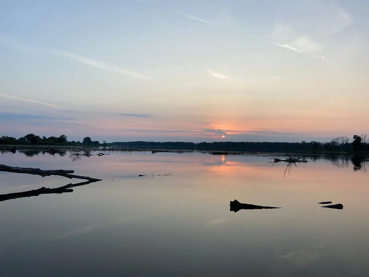 Wild Beauty Awaits: Explore Nature Like Never Before with Johnny Panther Quests Ecotours in Michigan