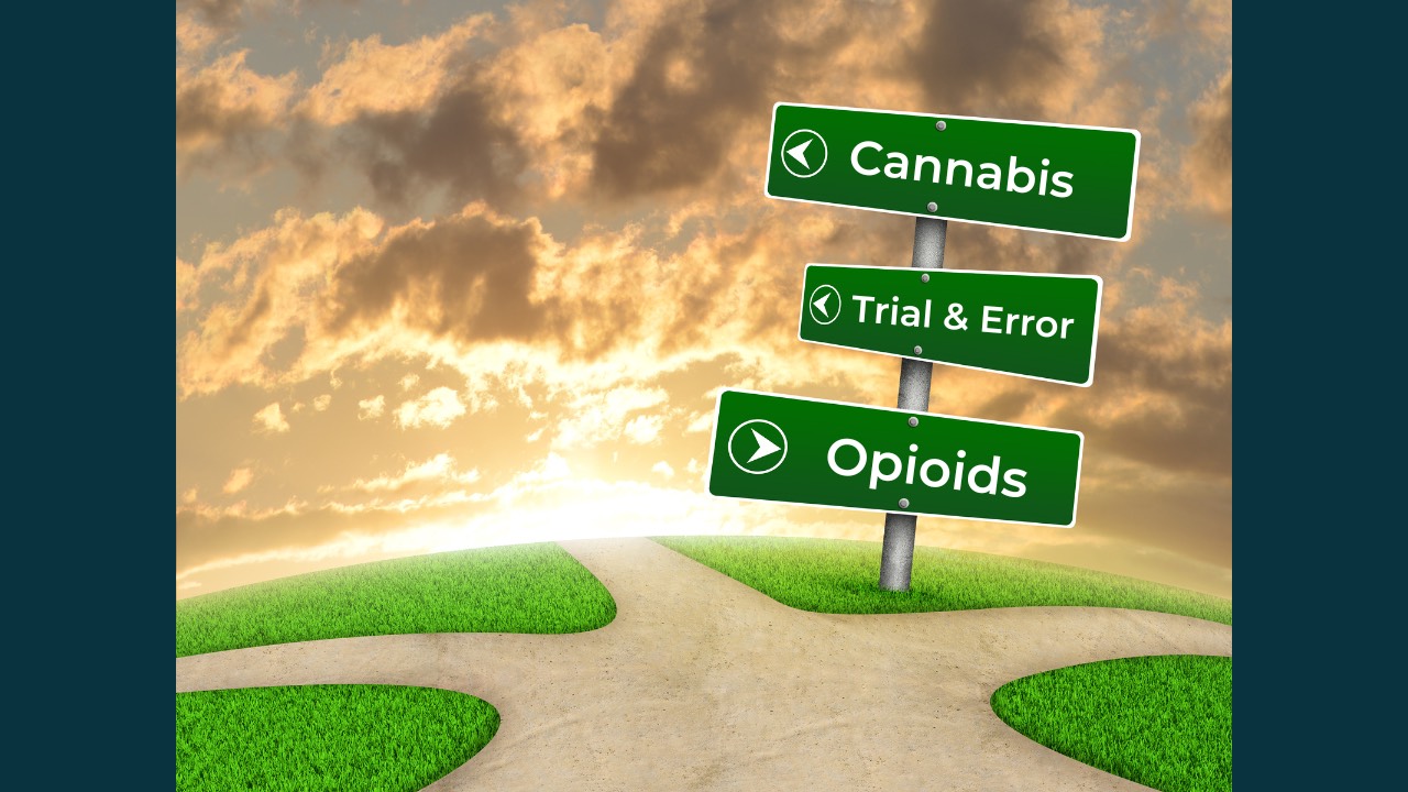 fork in the road cannabis or opioids