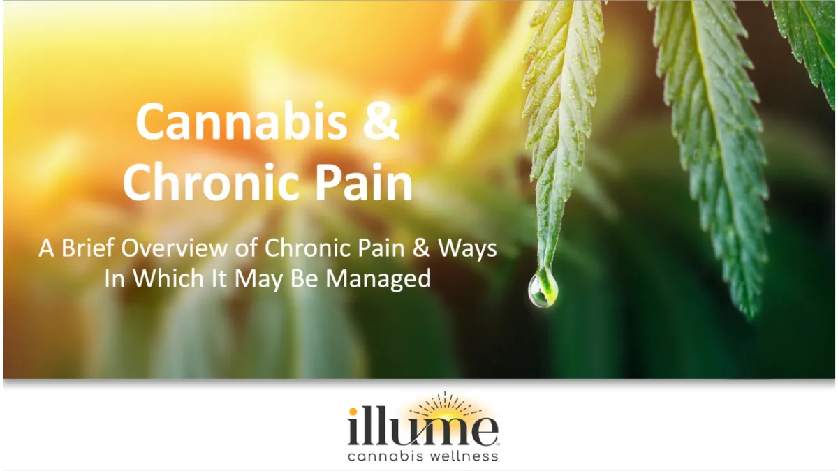 Cannabis & Chronic Pain: A Brief Overview of Chronic Pain & Ways In Which It May Be Managed