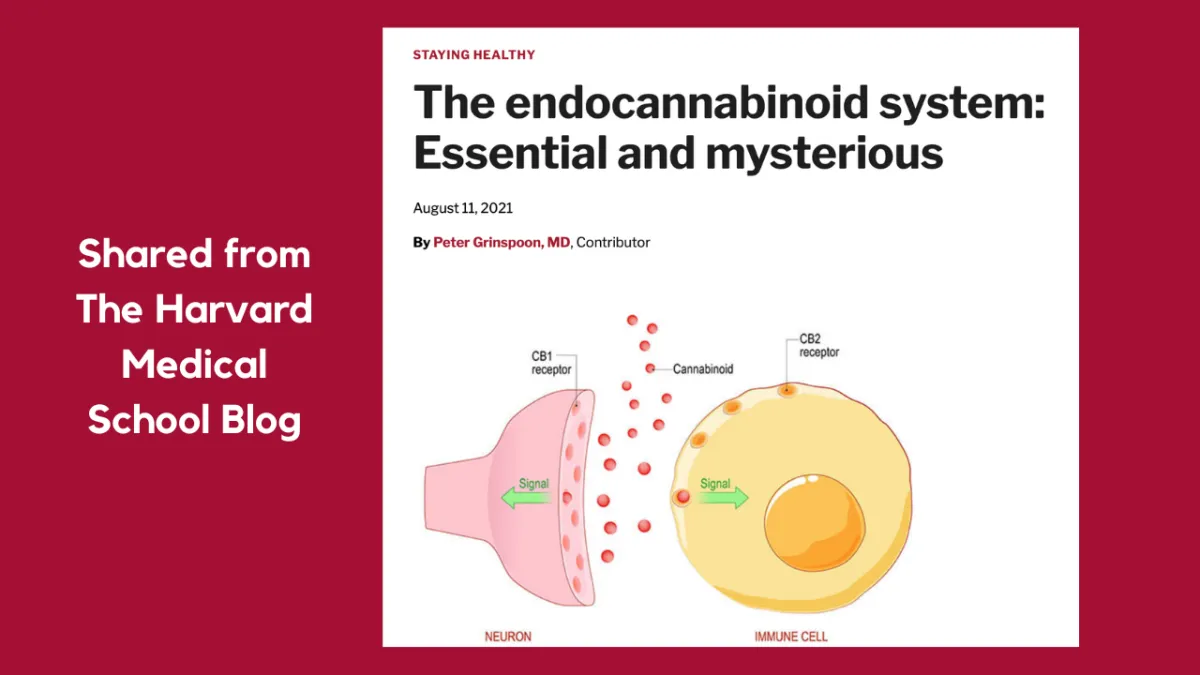 The Endocannabinoid System: Essential and Mysterious by Dr. Peter Grinspoon