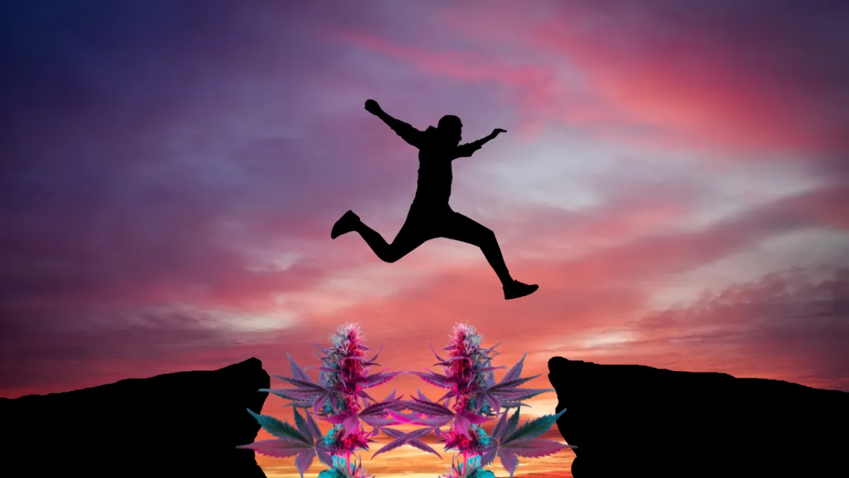 Bridging the Gap: Why Medical Cannabis Education Should Be a Priority and What’s Preventing Progress?