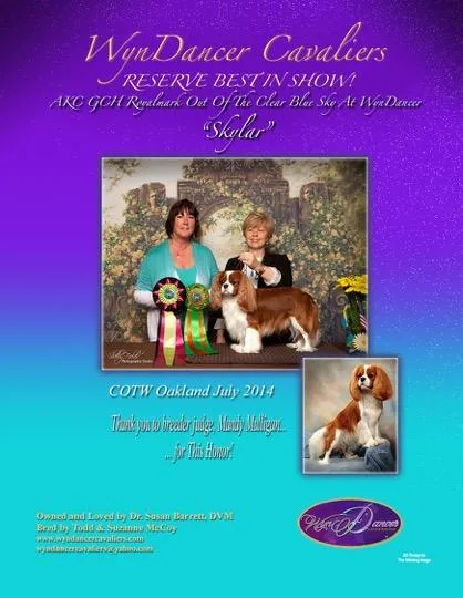 Skylar WynDancer Cavaliers AD