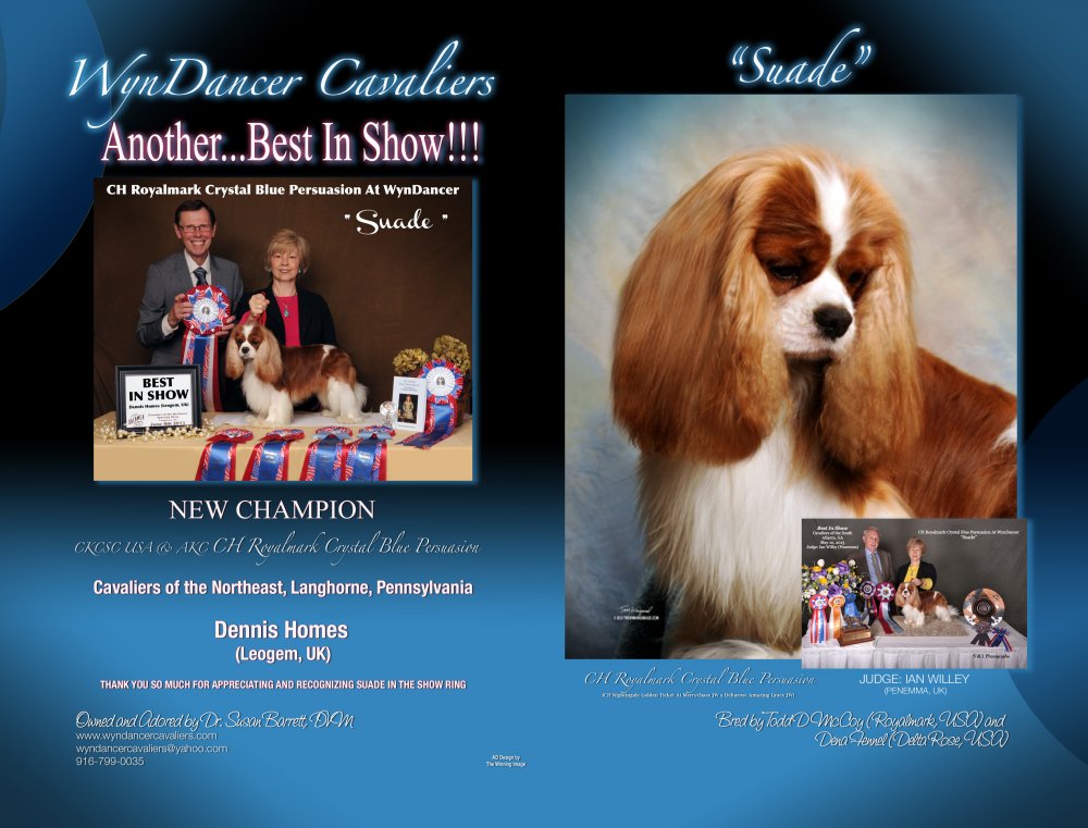 Advert: AnotherBestInShow