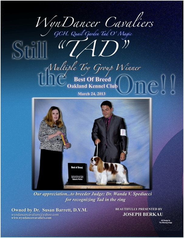 Advert: Tad StillOne